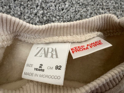 Zara Great Era Dinosaur Sweatshirt, Size 2 years, Kids 2T