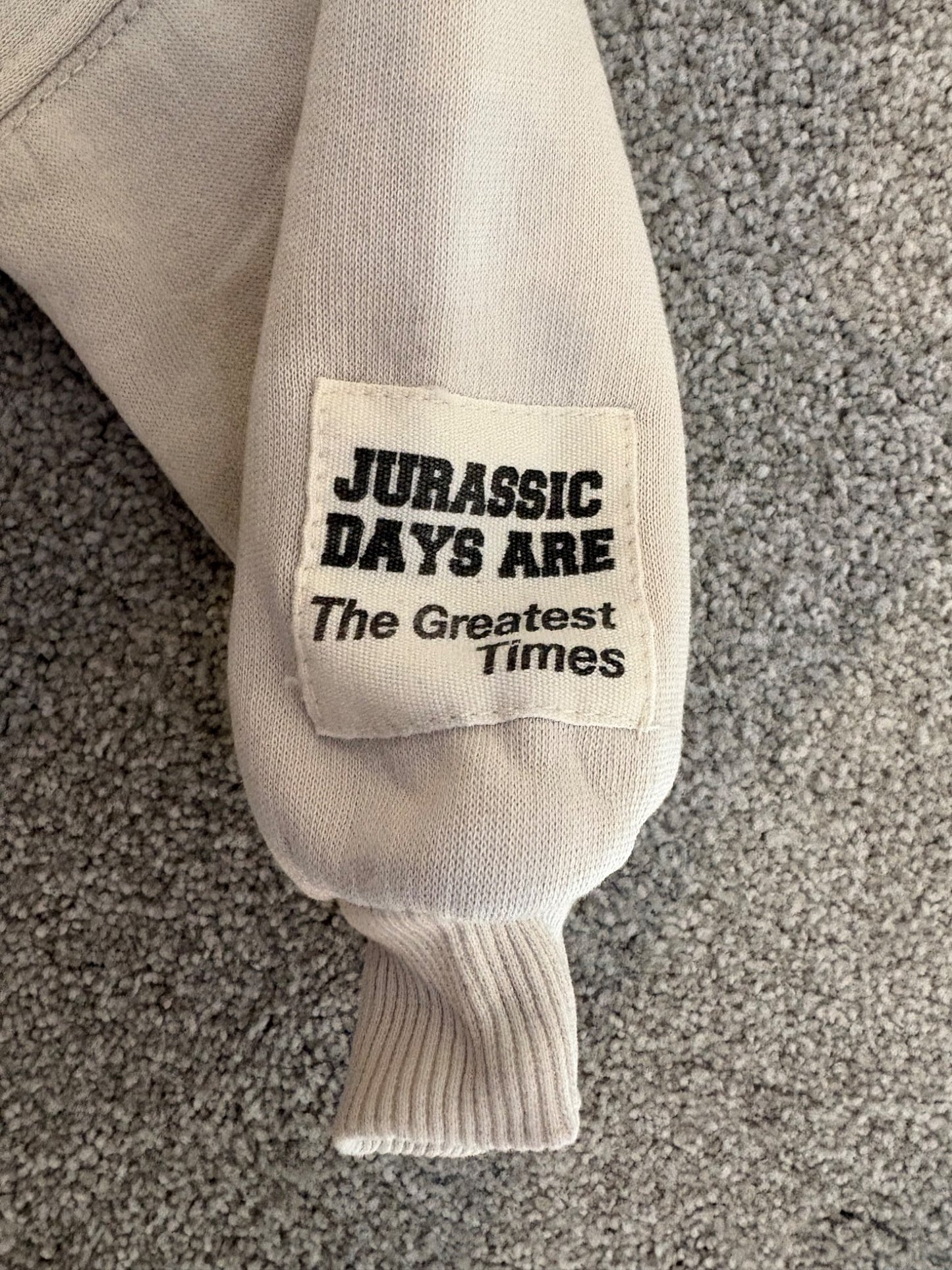 Zara Great Era Dinosaur Sweatshirt, Size 2 years, Kids 2T