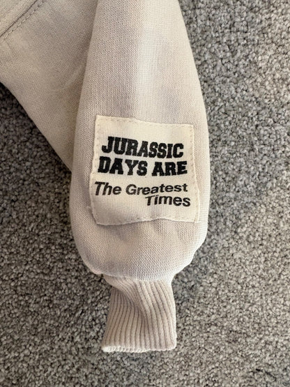 Zara Great Era Dinosaur Sweatshirt, Size 2 years, Kids 2T