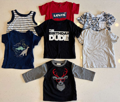 Baby Boy Shirt Bundle, Size 6-24m, VGUC, Kids 9 Month (6-9M)