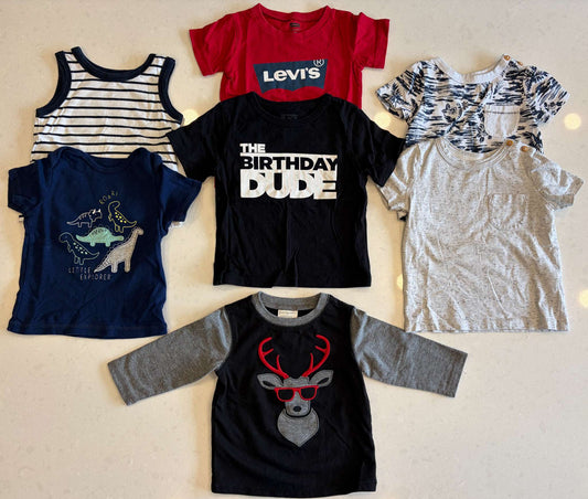 Baby Boy Shirt Bundle, Size 6-24m, VGUC, Kids 9 Month (6-9M)