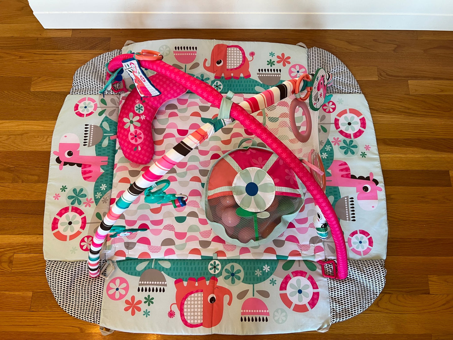 Baby play mat and ball pit - retails $85