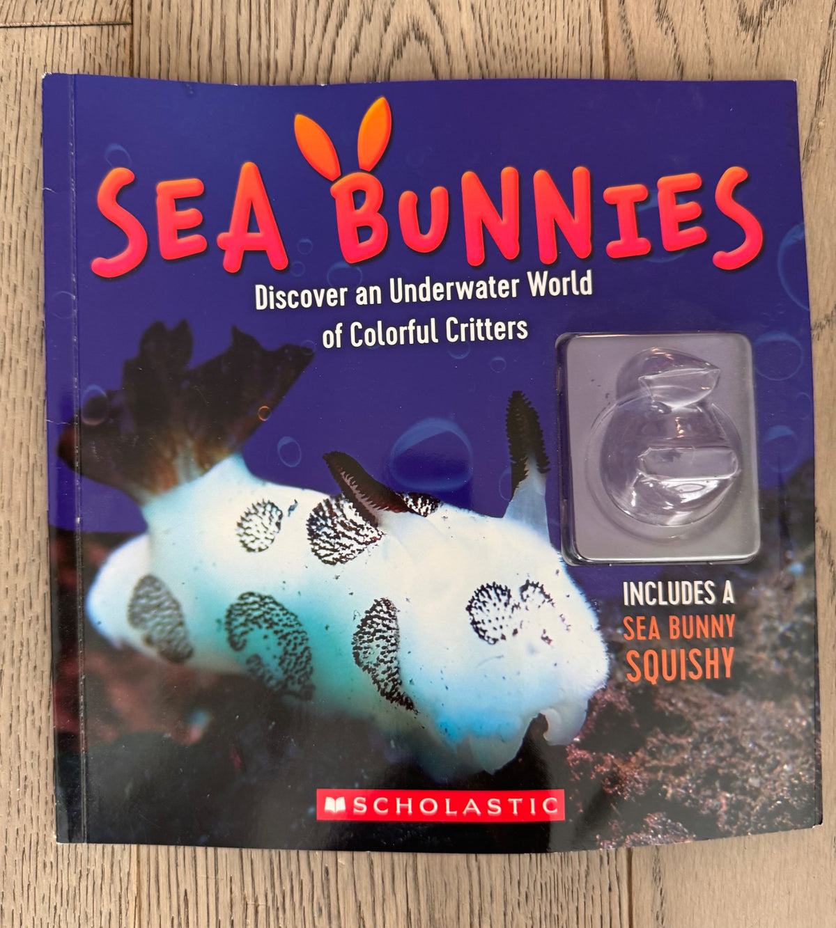 Sea Bunnies Book