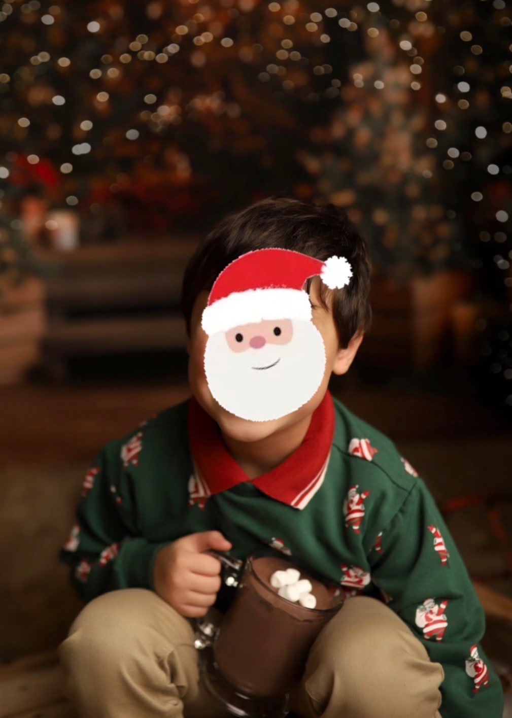 Santa Crewneck - Size 6, Kids 5/5T