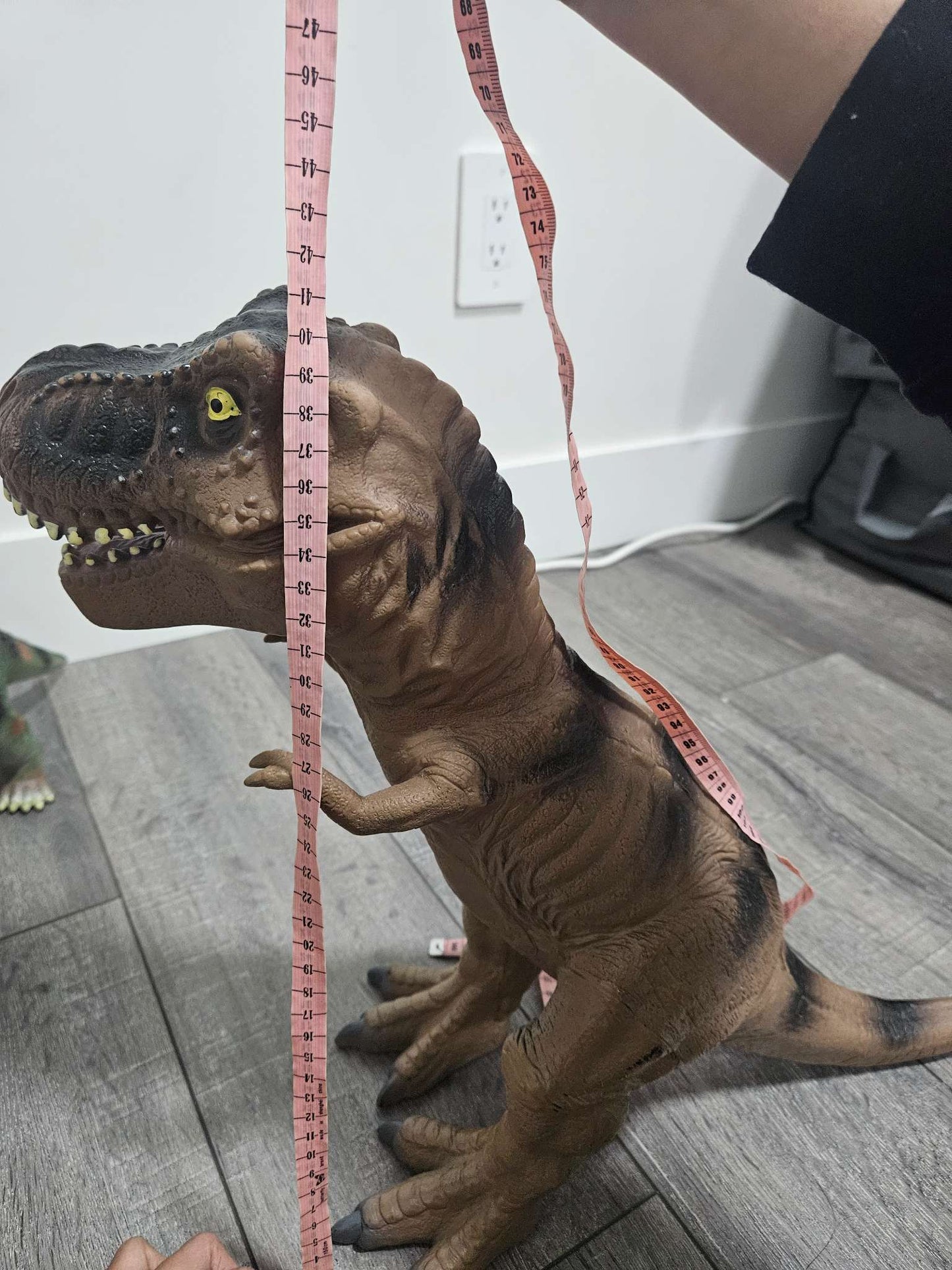 TRex Dinosaur