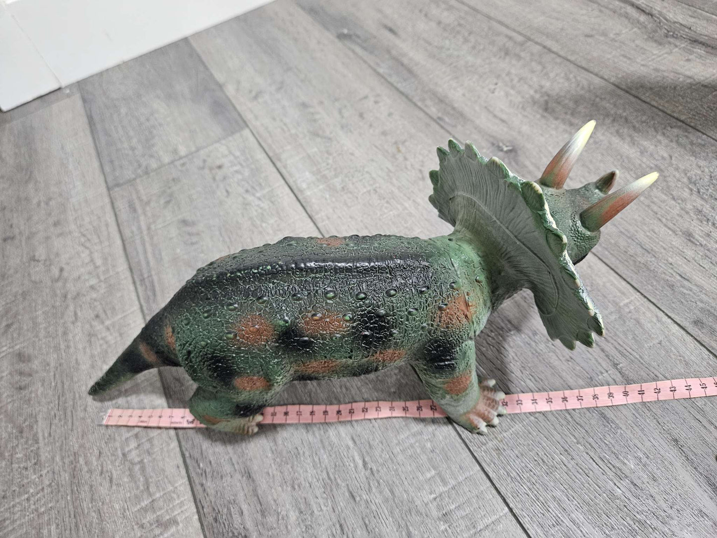 Triceratops Dinosaur