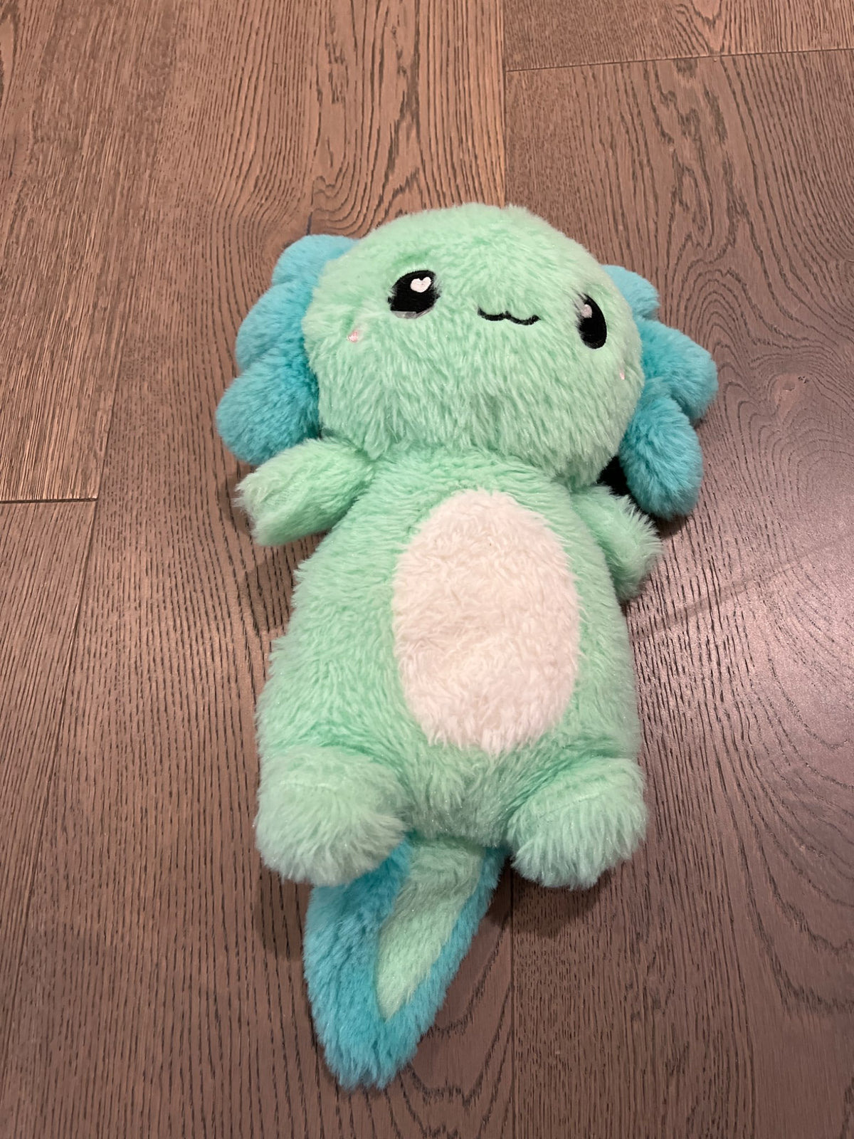 Axolotl heating pad