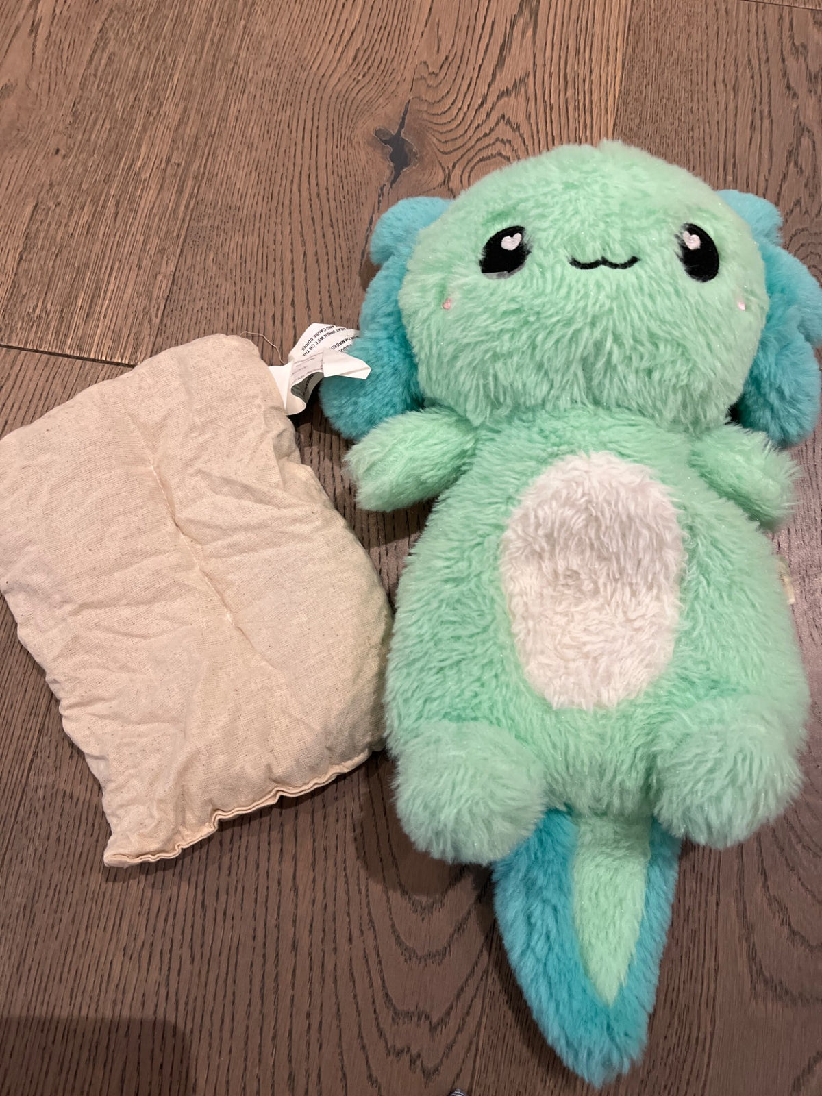 Axolotl heating pad