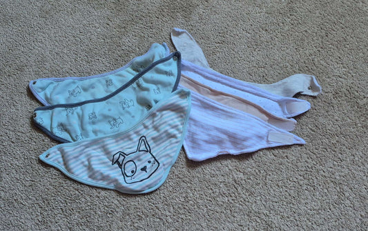Set of 6 Bibs