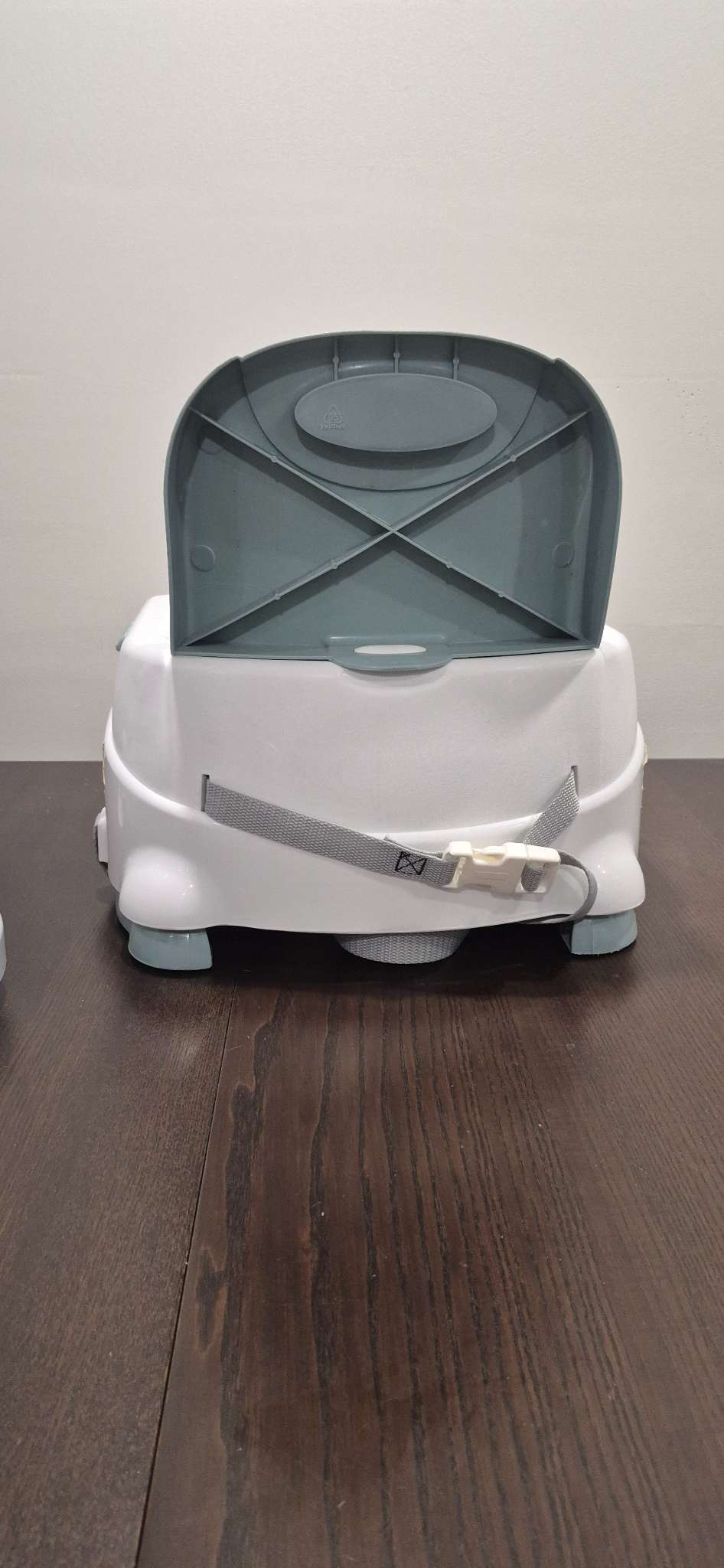 Fisher Price Booster Seat, VGUC