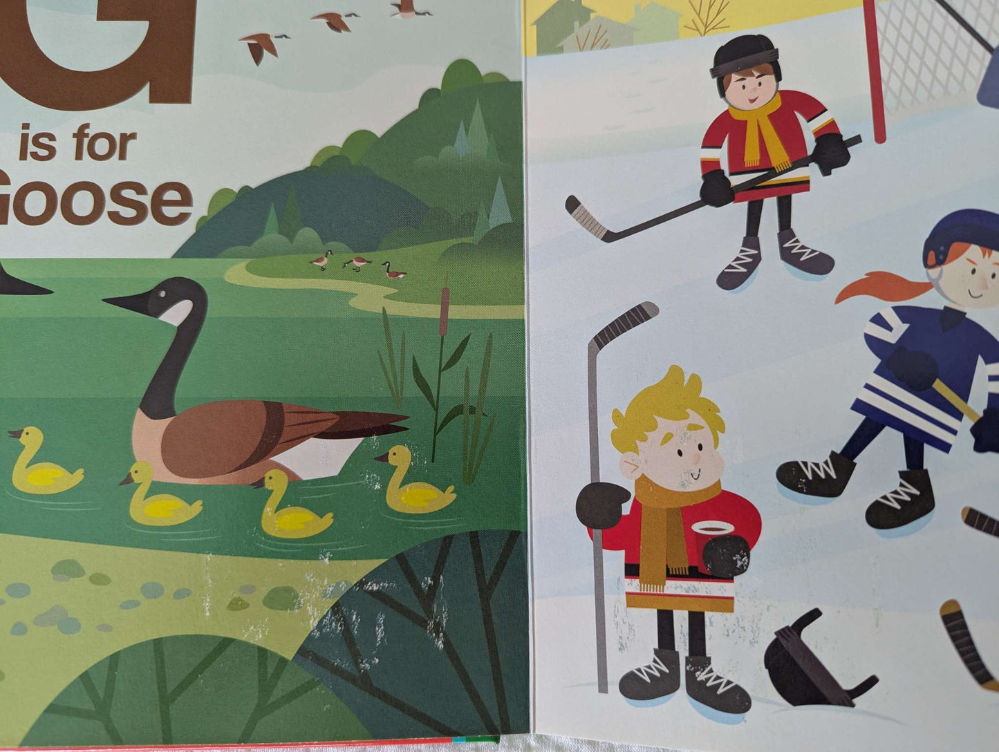 First book bundle