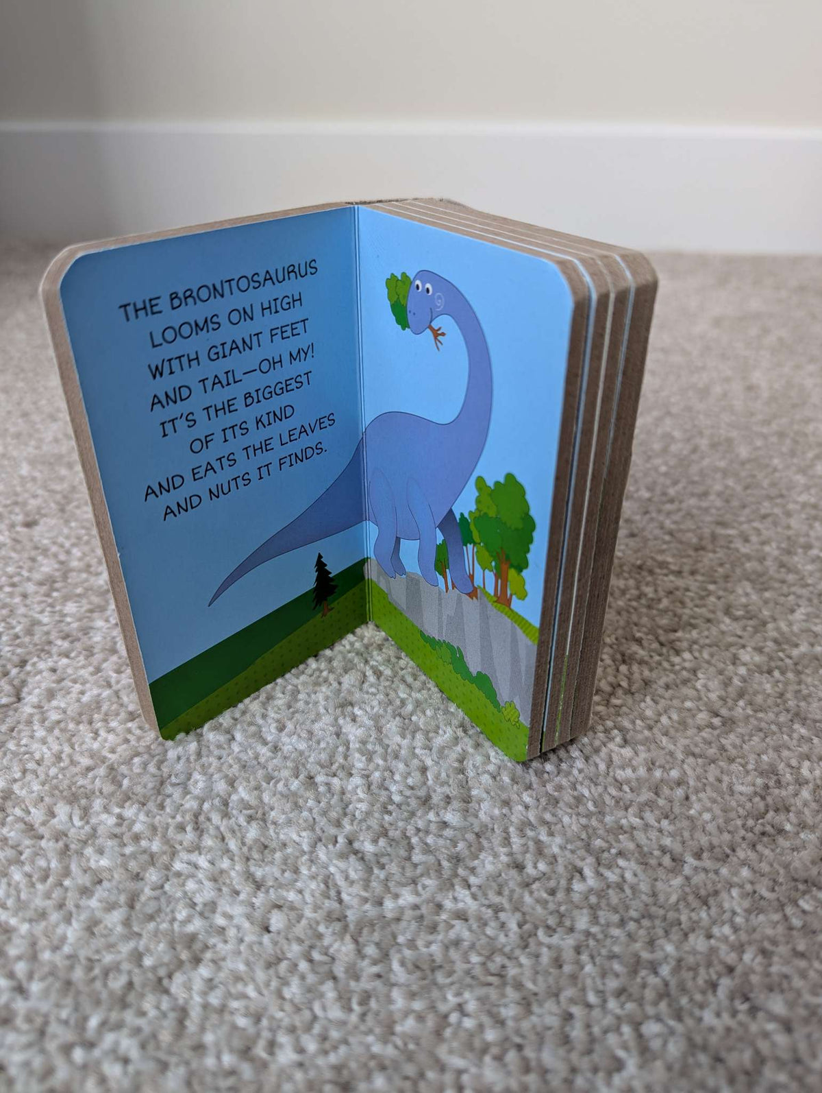 Dinosaur mini book collection
