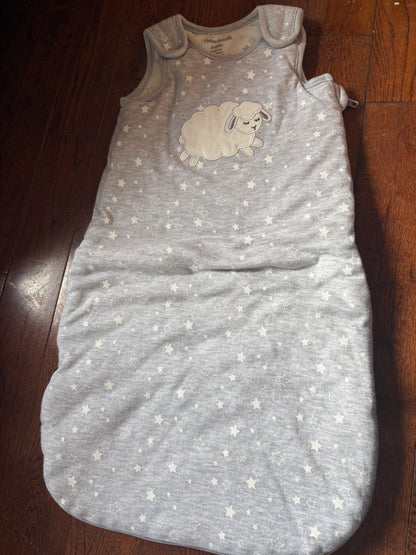 Fisher Price Sleepsack 0-6 months , 0-6 Months (Small)