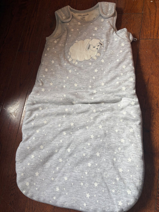 Fisher Price Sleepsack 0-6 months , 0-6 Months (Small)
