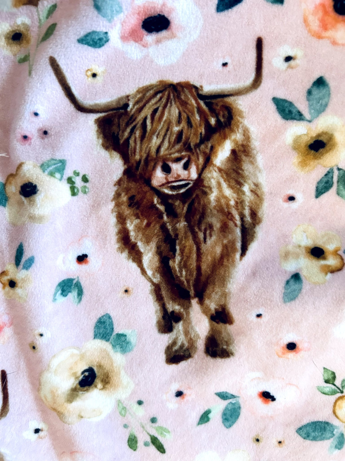 EUC - Small Shop, Vi&Jax, Fleece Pillowcase, Highland cow Print, retails $45