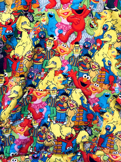 NWOT - Small Shop, Finn & Grin, pocket hoodie, sesame street, size 12-18 months, Kids 18 Month (12-18M)