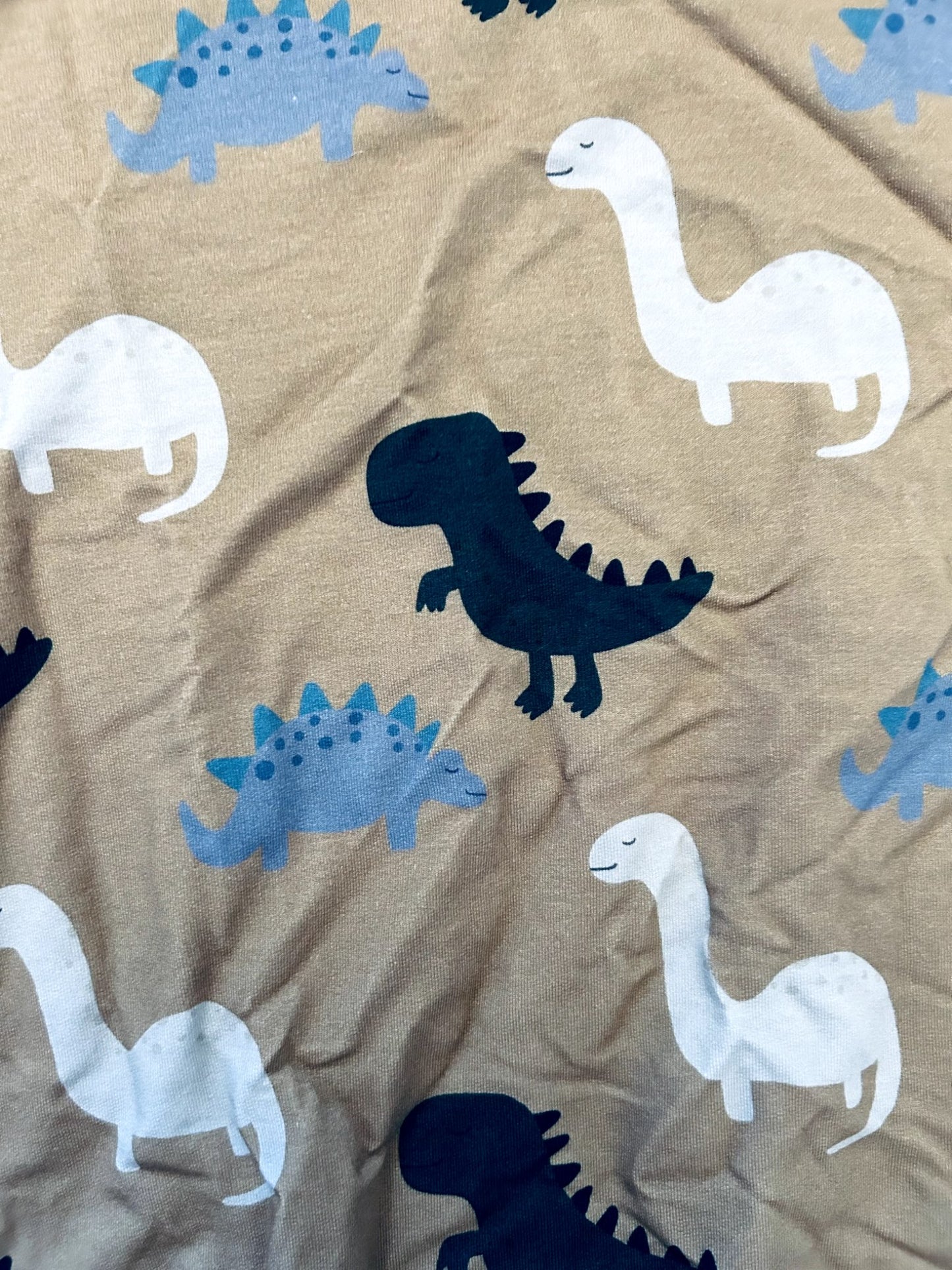 NWT- Small shop, TMB, crewneck, dinosaur print, size 8/9, Kids 8