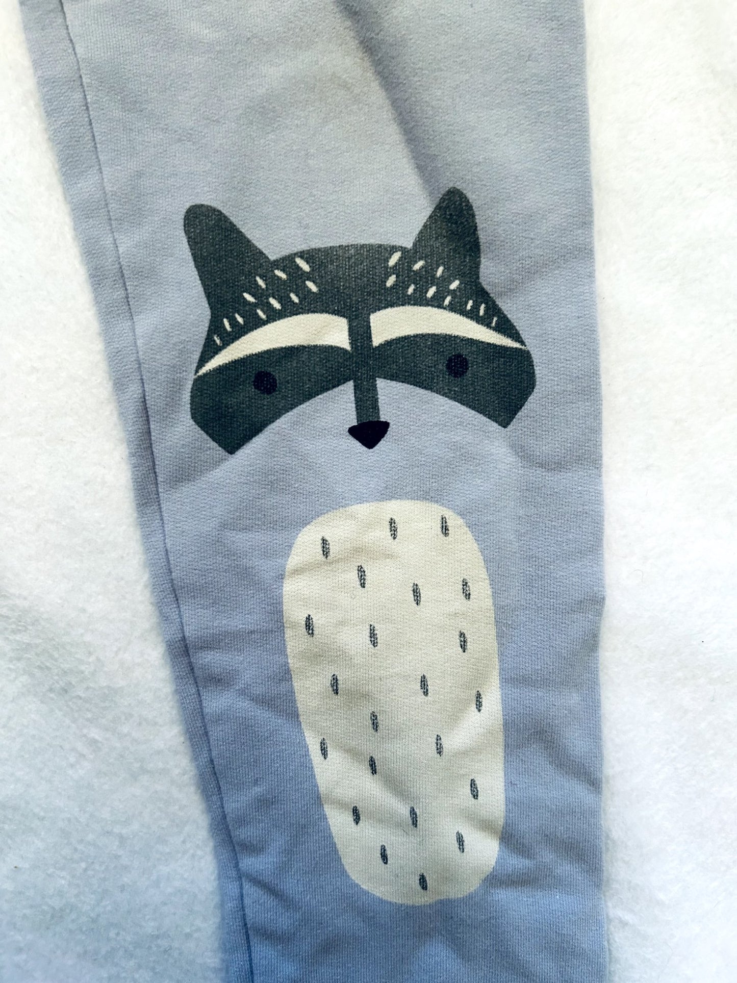 VGUC - Tea Collection, Leggings, Raccoon decal, size 8, Kids 8