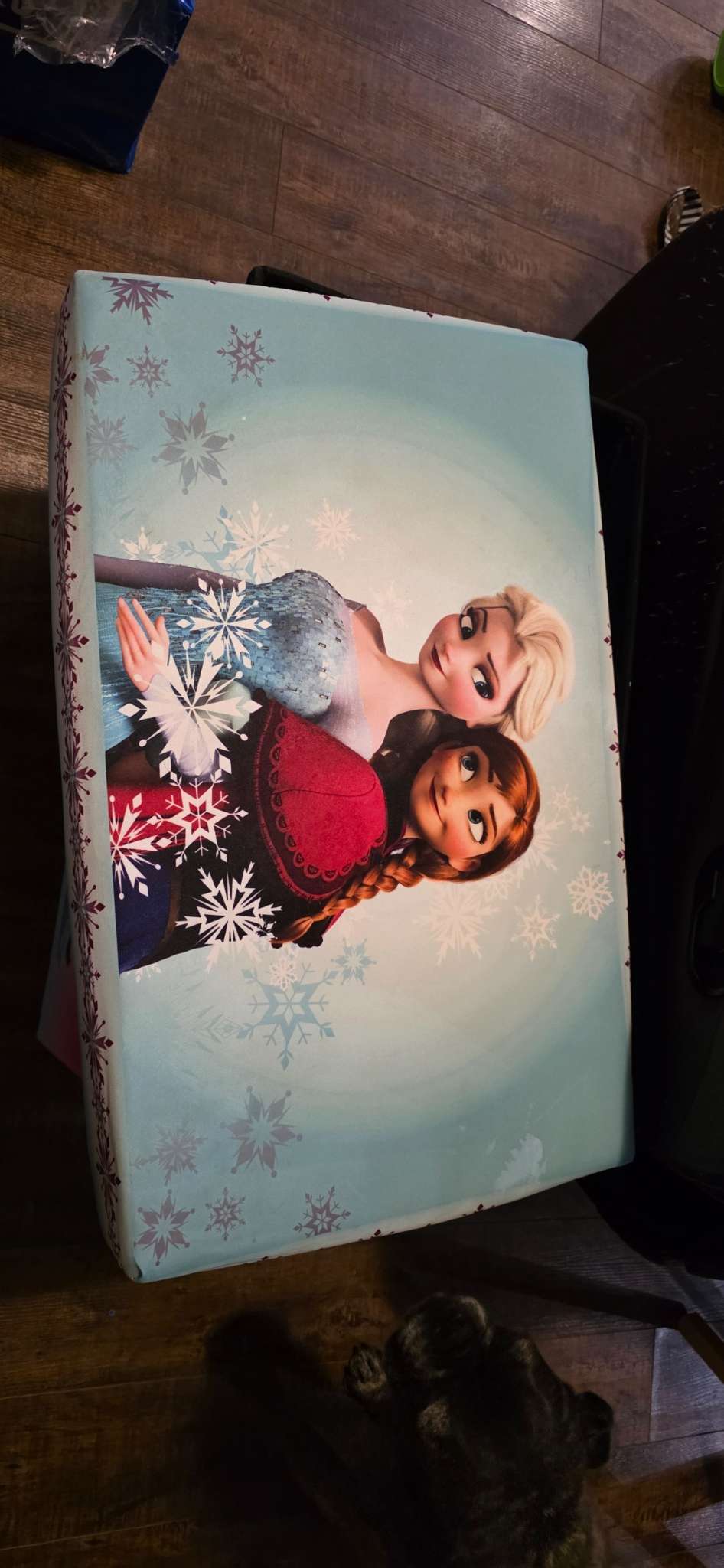 Frozen Hard Sided Toy Box