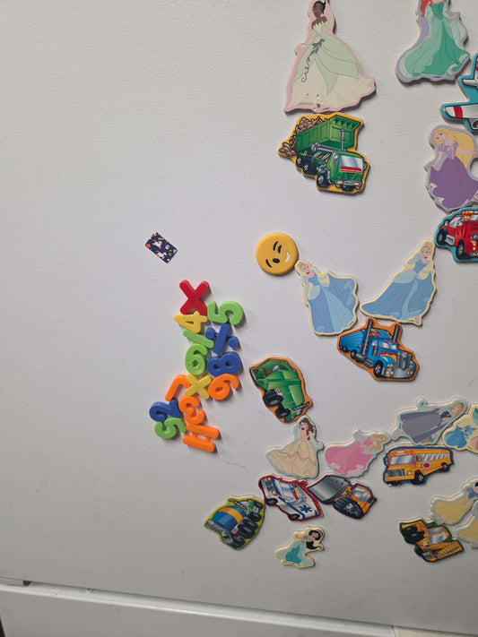 Fridge Magnet lot