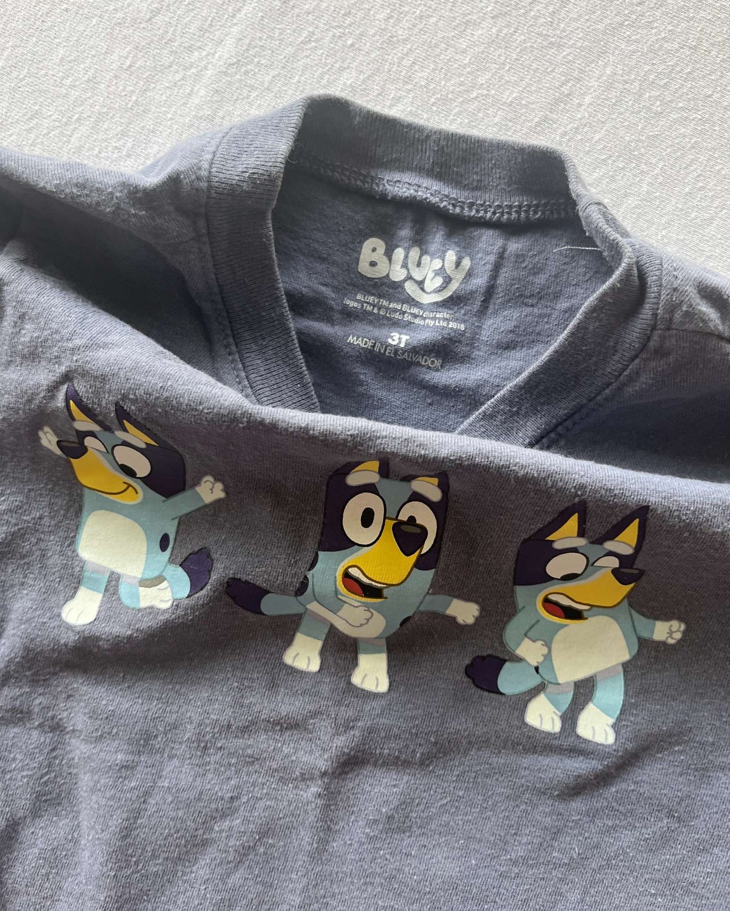 Bluey T-Shirt, Size 3T, Kids 3T