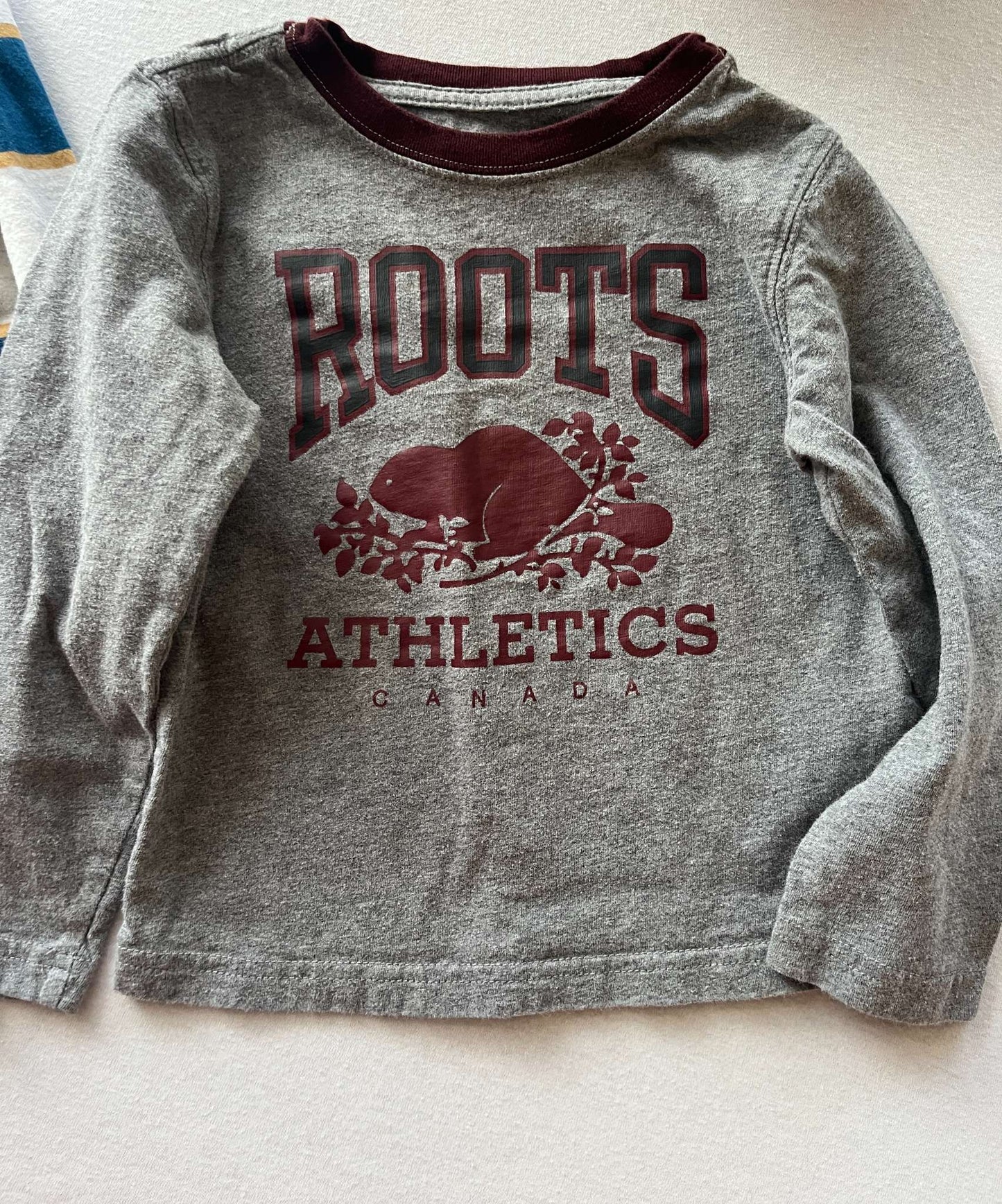 Long Sleeve Bundle, 2 T-Shirts and 1 Sweatshirt, Size 3, Kids 3T