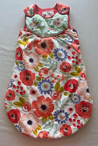 Two Warm Sleep Sacks, Girls, Size 0-12 months. , 0-6 Months (Small)