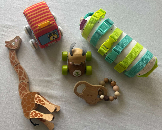 Baby Toy Bundle (LoveEvery, Plan and Melissa & Doug)