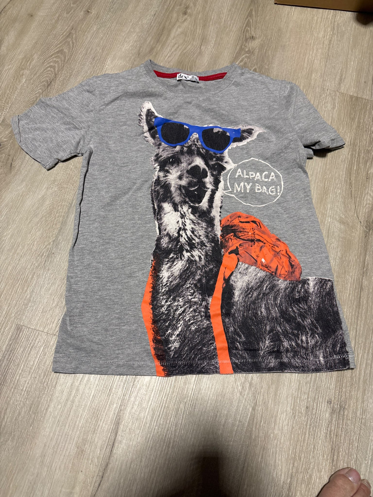 Dex alpaca my bag Shirt Large , Kids 10
