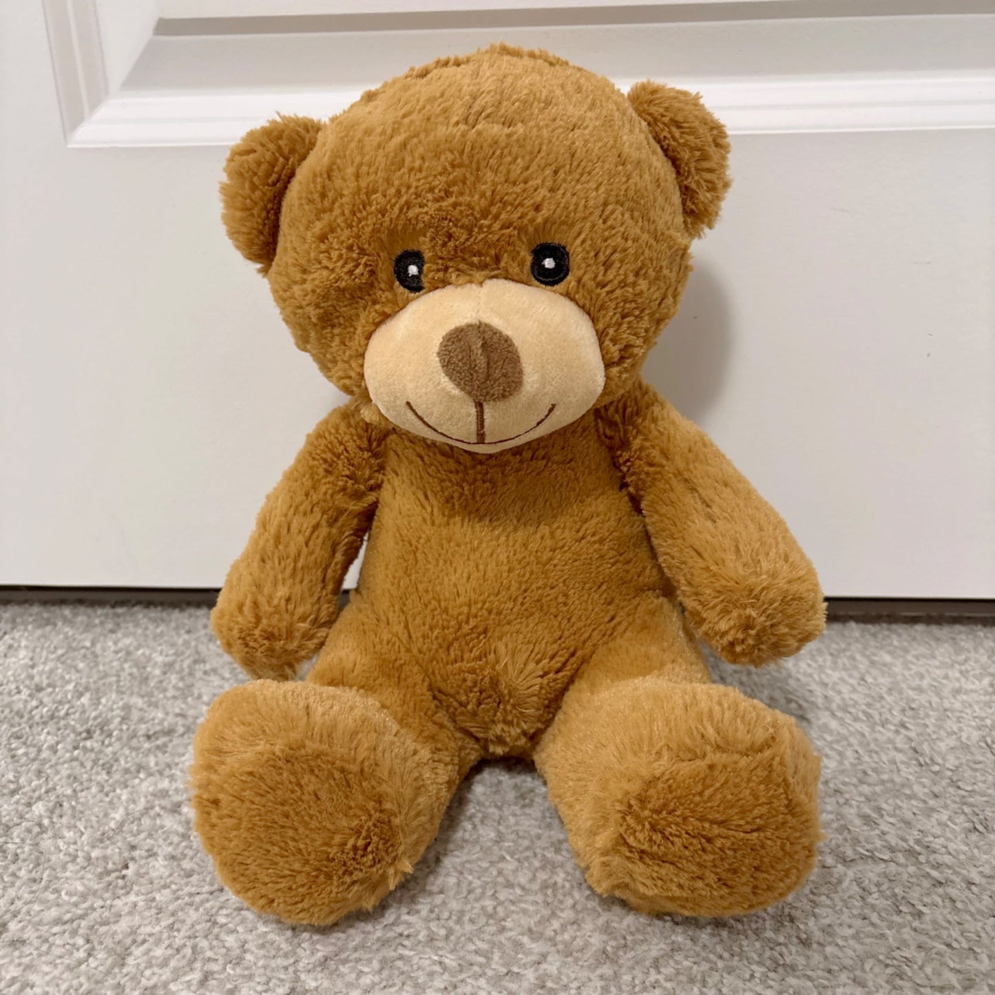 NWOT Snuggle buddies 10” my first teddy bear plush toy