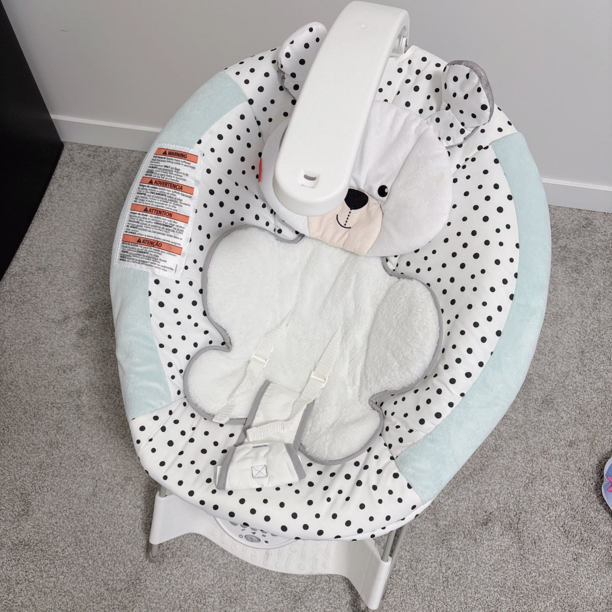 Fisher Price deluxe bouncer