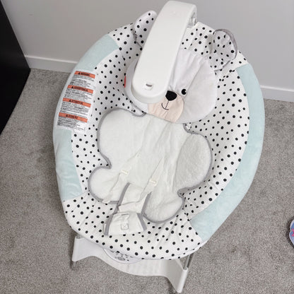 Fisher Price deluxe bouncer