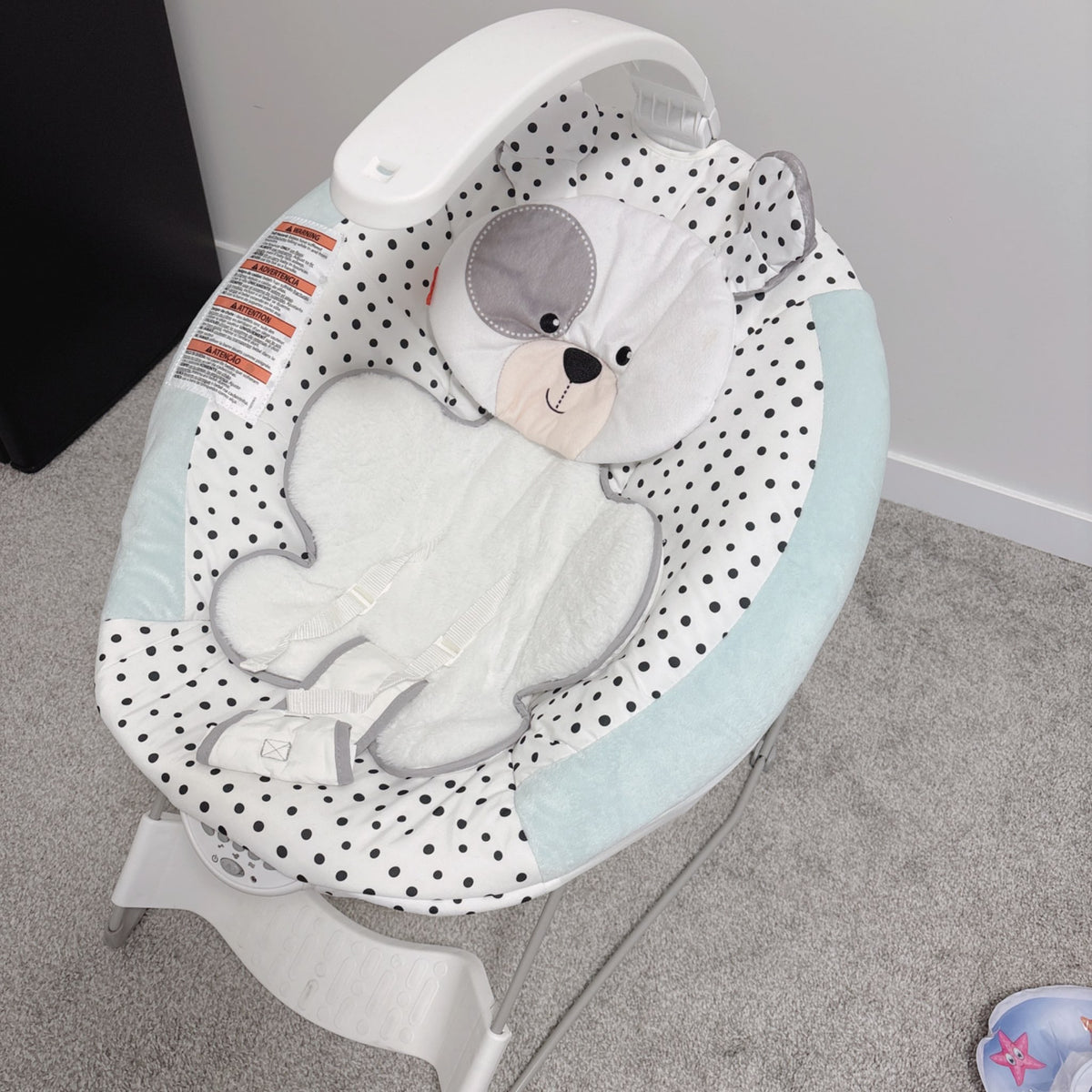 Fisher Price deluxe bouncer