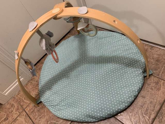 Baby Activity Gym