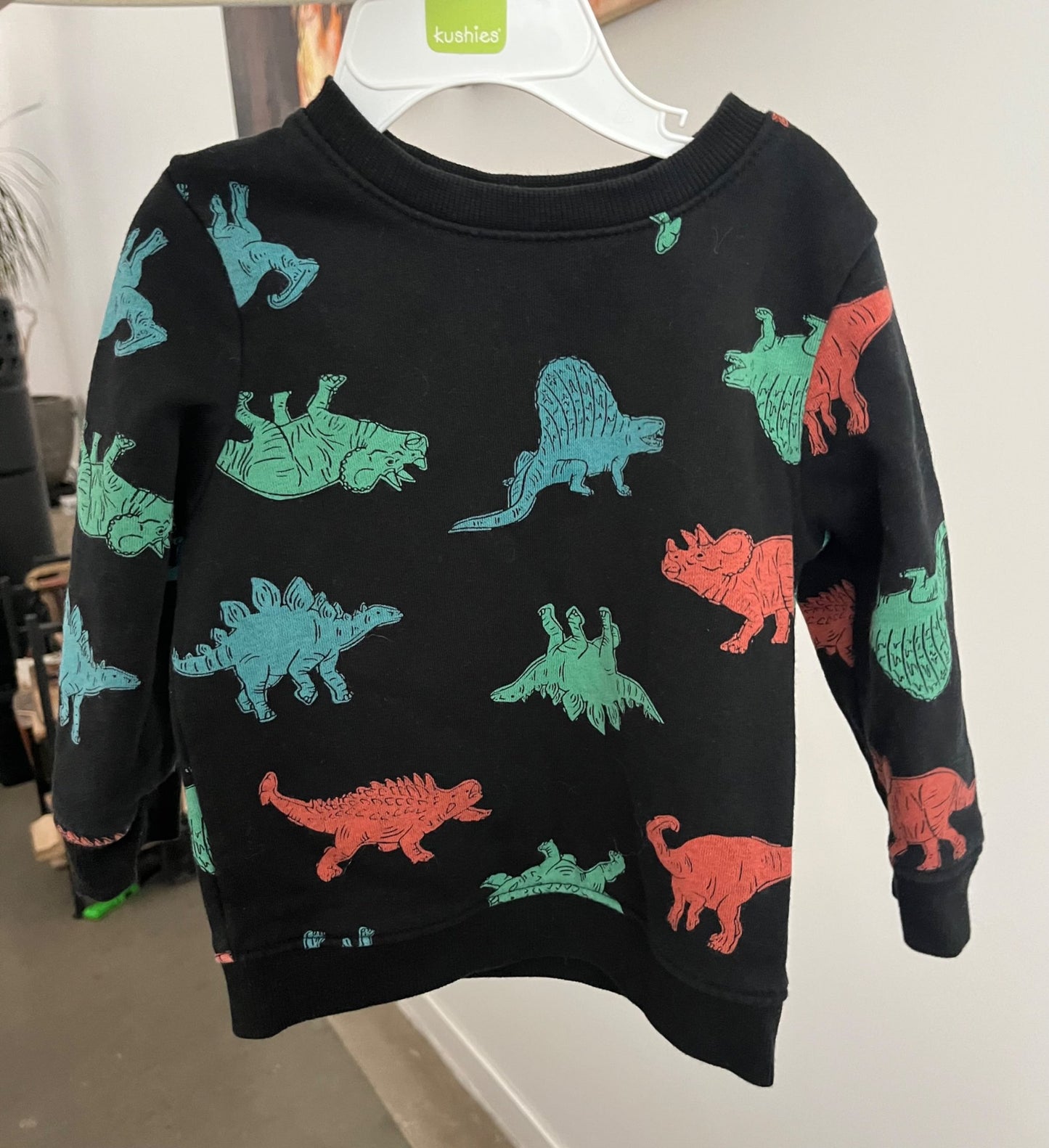 Dinosaur Sweatshirt , Kids 18 Month (12-18M)