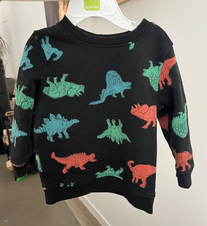 Dinosaur Sweatshirt , Kids 18 Month (12-18M)