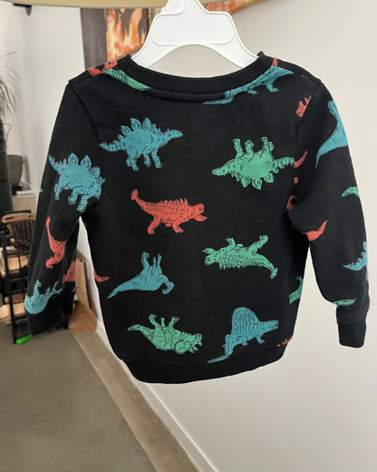 Dinosaur Sweatshirt , Kids 18 Month (12-18M)