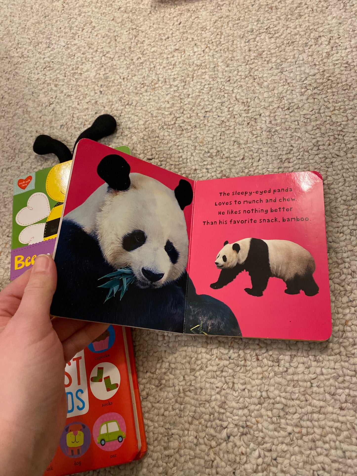 Baby Board Book Bundle