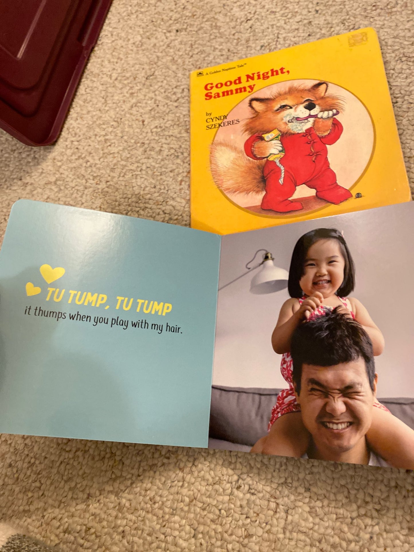 Board Book Bundle x3