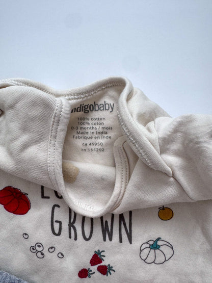 2 Indigo Baby Cotton One Pieces, Kids 3 Month (0-3M)