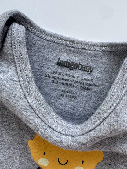 2 Indigo Baby Cotton One Pieces, Kids 3 Month (0-3M)
