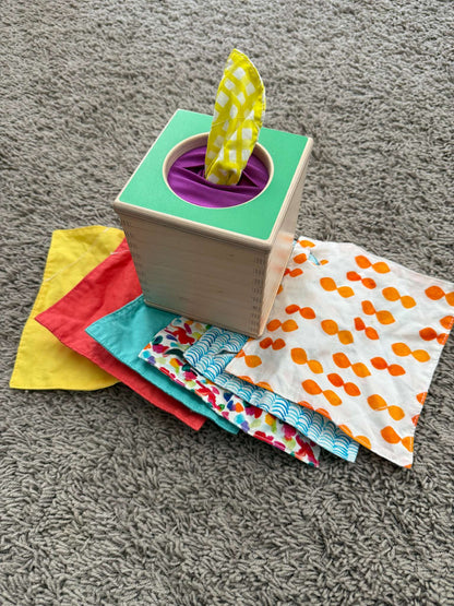 Lovevery Senser Play Kit (5-6 months)