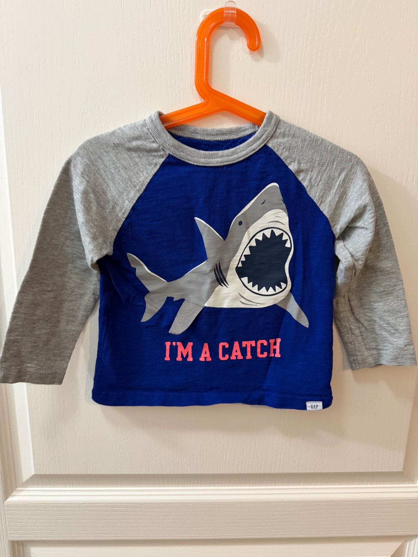 Gap long sleeve , Kids 2T