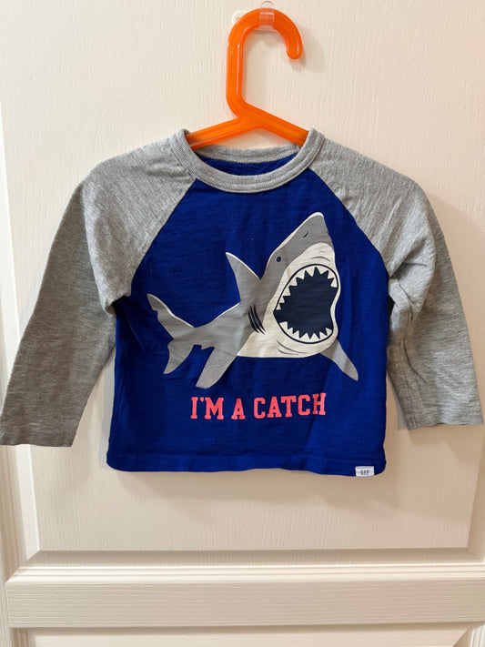 Gap long sleeve , Kids 2T