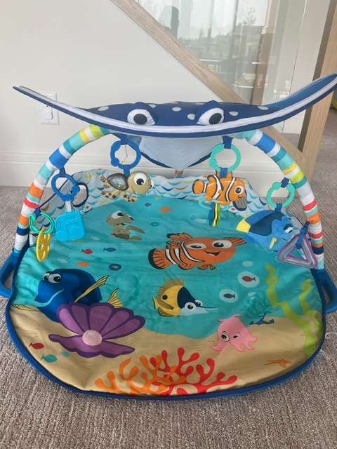Baby Play Mat