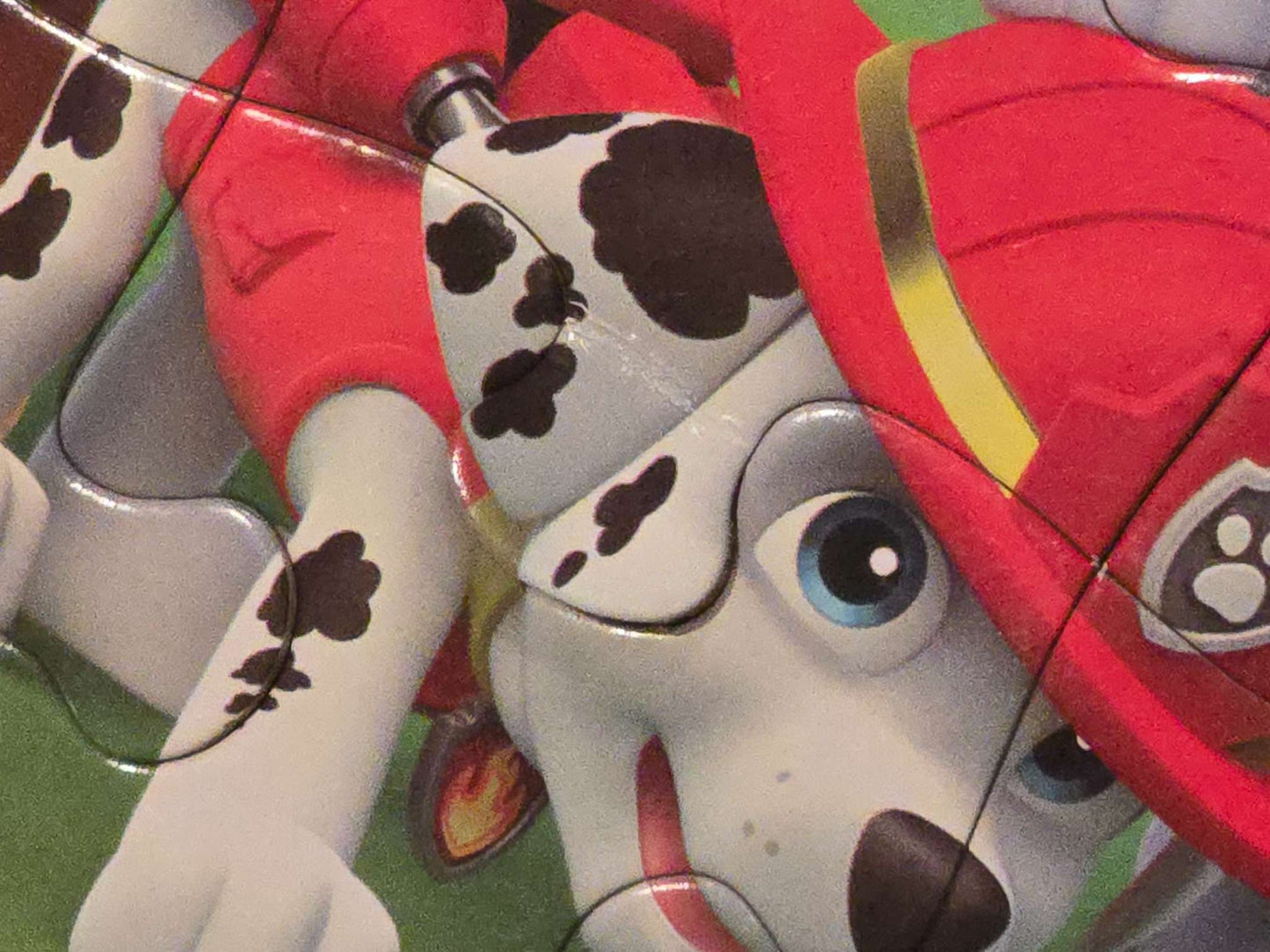Paw Patrol fun Bundle