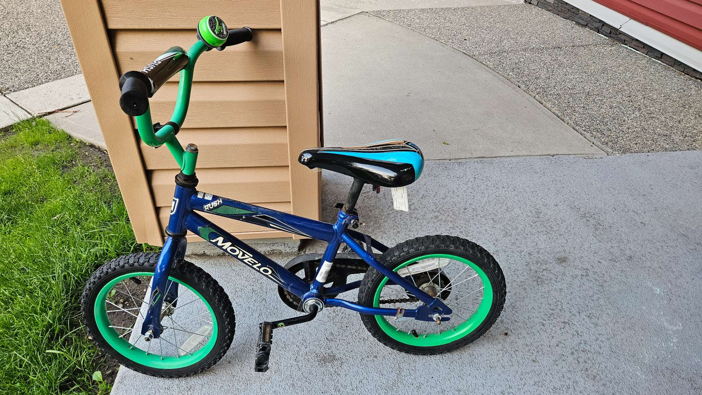 Kids 12" Bike