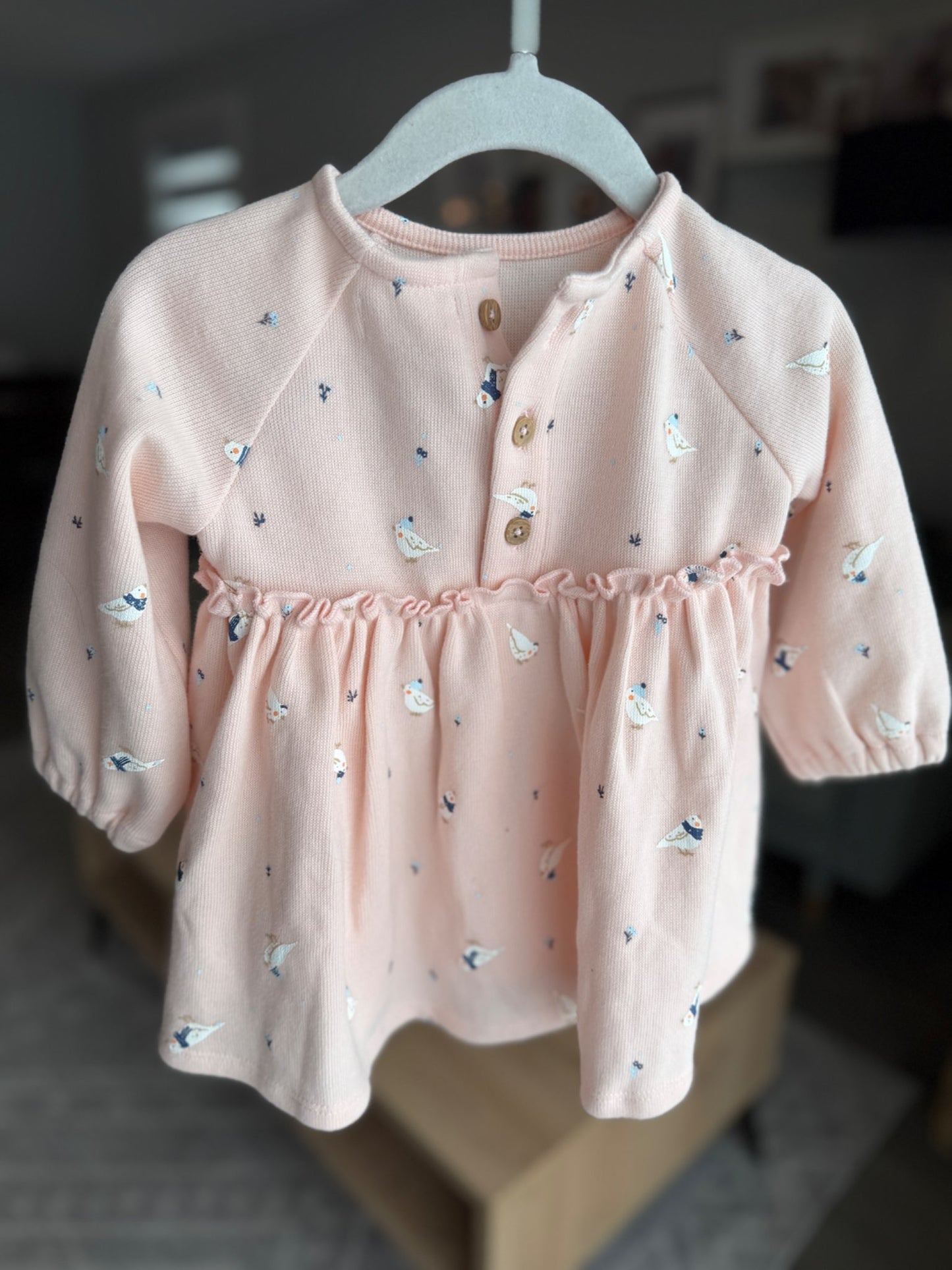 Pink long sleeve dress, Rise Little Earthling, 3-6mo , Kids 6 Month (3-6M)