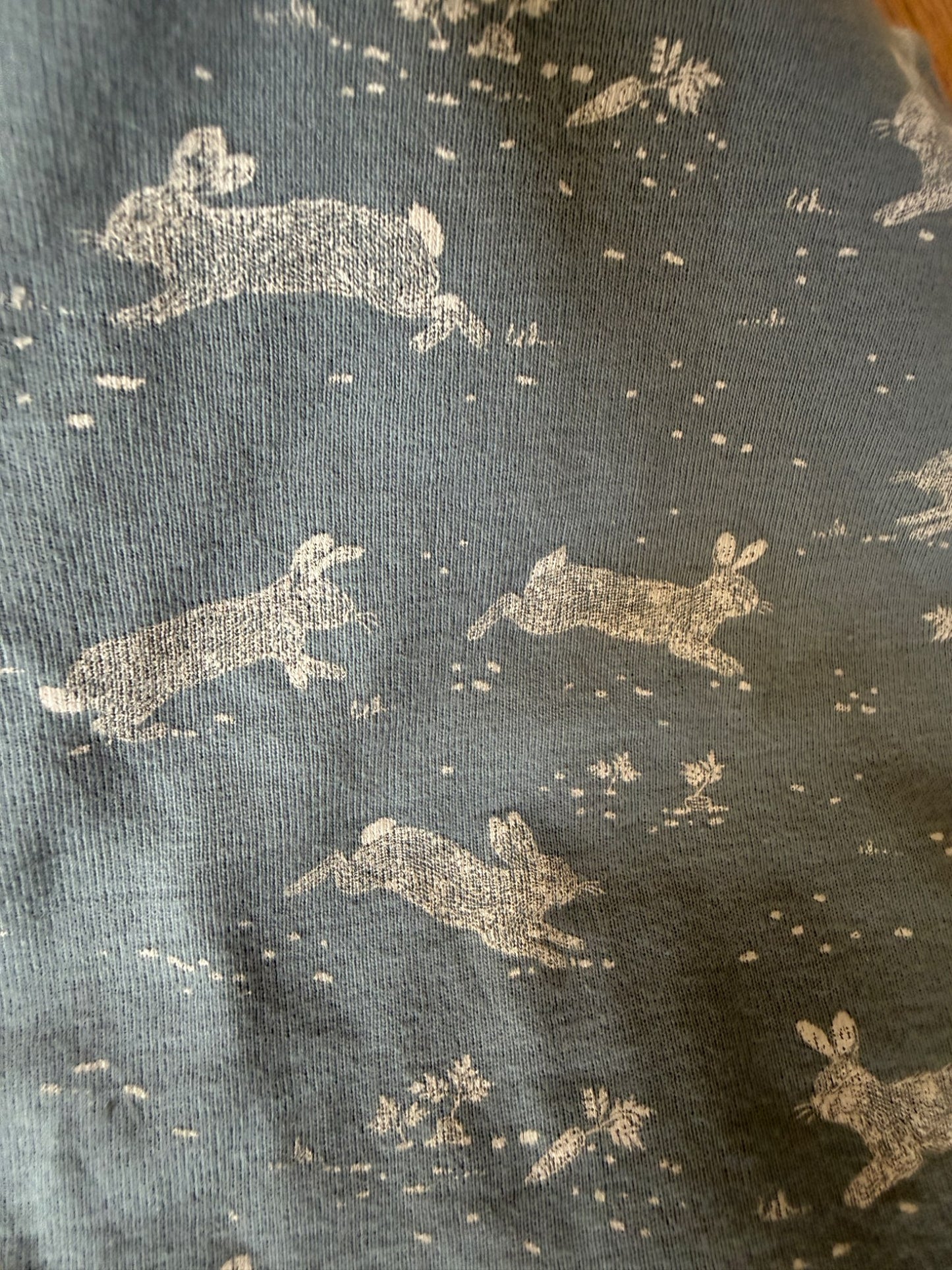 Blue and white rabbit pajama set, 18M