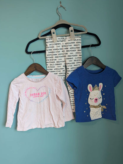 2 Tops & (New Without Tags) Leggings, Kids 3T